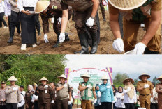 Dukung Asta Cita Presiden RI, Kajati Sumsel Wujudkan Swasembada Pangan Melalui Gerakan Tanam Jagung