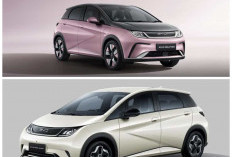 BYD Dolphin 2026 Resmi Hadir di Indonesia, Mobil Listrik Stylish dengan Harga Kompetitif Bikin Peminat Melirik