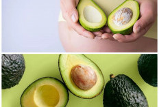 Bantu Program Hamil, Ini Manfaat Alpukat dan Cara Konsumsinya dengan Benar