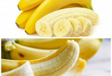 7 Khasiat Pisang Ambon untuk Kesehatan Tubuh, Buah Murah dengan Segudang Manfaat