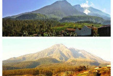Menguak Misteri Puncak Gunung Lawu: Panduan Jalur Pendakian Menuju Makom Keramat yang Diselimuti Legenda!