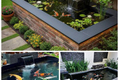 Halaman Sempit Jadi Oase! Ini 5 Desain Kolam Ikan Hias yang Bikin Rumah Lebih Adem!