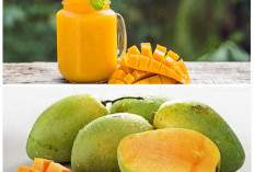 Jangan Cuma Enak, Ini 5 Manfaat Buah Mangga untuk Kesehatan yang Jarang Disadari