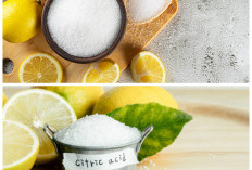 Rahasia Asam Sitrat untuk Kesehatan Tubuh yang Jarang Diketahui!