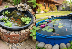 Model Kolam Ikan Tanpa Galian yang Estetik, Tampilan Rumah Jadi Lebih Mewah!