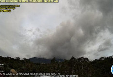 Gunung Dempo Berstatus Waspada: PVMBG Rekam Gempa Tektonik dan Tremor Menerus, Wisatawan Dilarang Mendekat!