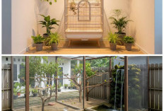 Inspirasi Rumah Minimalis dengan Kandang Burung Indoor, Estetik dan Bikin Adem