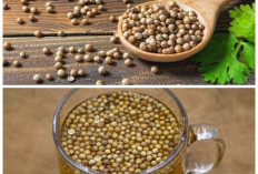 Rahasia Air Rebusan Ketumbar: Minuman Sederhana dengan Segudang Manfaat untuk Tubuh!