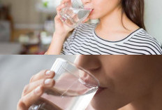 Minum Air Dingin Ternyata Banyak Manfaat, Tapi Wajib Tahu Risikonya Agar Tidak Salah Kaprah