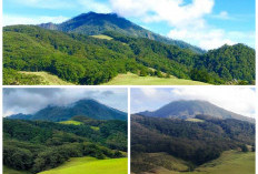 Menelusuri Sejarah Gunung Mutis: Puncak Suci di Tanah Timor!