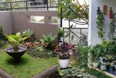 Inspirasi Taman Depan Rumah Sederhana yang Cantik dan Menyegarkan!