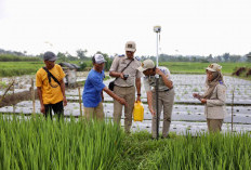 Biaya PTSL Berbeda Tiap Wilayah, Mulai Rp150 Ribu hingga Rp450 Ribu