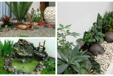 Taman Batu Kali: 5 Ide Desain yang Bikin Rumah Minimalis hingga Tropis Lebih Asri