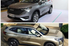 Haval H6 Hybrid Meluncur Resmi, Tawarkan Teknologi Pintar dan Tenaga Gahar Penantang SUV Jepang