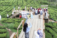 Tren Positif Pariwisata Pagar Alam, Libur Nataru Kunjungan Wisatawan Meningkat