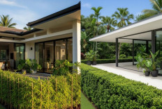 Teras Rumah Lebih Cantik dengan Pagar Tanaman Hidup, Cocok untuk Hunian Minimalis!