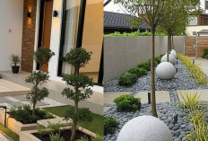 Inspirasi Taman Kering Minimalis Modern, Cocok untuk Rumah Masa Kini!