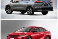 Jangan Kaget Lihat Buritannya! Cek Fakta di Balik Seliwerannya Prototipe Toyota Corolla Pikap
