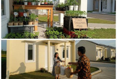 Manfaatkan Lahan Sisa! 7 Peluang Usaha di Belakang Rumah yang Minim Modal tapi Menjanjikan