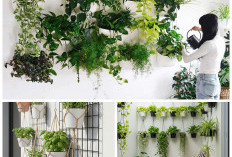 Jangan Dibuang! Ini 7 Ide Pot Tanaman Dinding dari Barang Bekas Dapur yang Estetik!