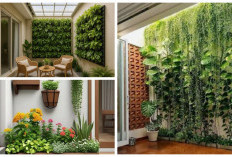 Desain Rumah Minimalis dengan Taman Kecil Semakin Populer, Hadirkan Ruang Hijau Segar di Lahan Terbatas