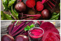 Inilah Rahasia Kesehatan dari Buah Bit yang Jarang Diketahui, Wajib Masuk Menu Harian!!