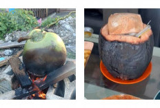 Manfaat Air Kelapa Bakar: Minuman Tradisional yang Hangat dan Menyegarkan