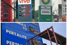 Jangan Sampai Ketinggalan! Ini Daftar Harga BBM Terbaru di SPBU Pertamina, Shell, Vivo, dan BP!