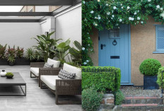 Desain Teras Rumah Tanpa Pagar yang Minimalis, Aman, dan Berkelas!