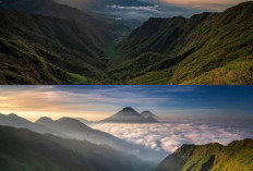 Serasa di Atas Awan! Intip Pesona Alam Gunung Bismo, Jalur Pendakian Terindah di Jantung Dieng