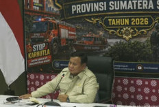 Karhutla Sumsel Jadi Perhatian Presiden, 20 Ekskavator dan Tambahan Helikopter Segera Dikirim