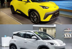 Mobil Listrik Kompak BYD Atto 1 Facelift 2026 Tampil Makin Canggih dan Irit Energi