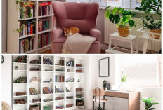 Cara Kreatif Menata Sudut Baca Estetik di Ruang Sempit, Bikin Betah dan Kekinian