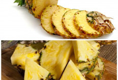Segar dan Menyehatkan! Inilah Manfaat Nanas untuk Pencernaan dan Tubuh