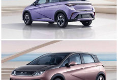 BYD Dolphin 2026 Resmi Meluncur di Indonesia, Mobil Listrik Stylish Harga Mulai Segini Bikin Penasaran!