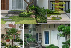 Lahan Sempit Bukan Masalah, 5 Pohon Ini Bikin Taman Rumah Makin Asri