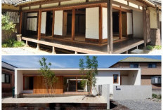 Rumah Minimalis Ala Jepang: Desain Elegan dan Efisien dengan Anggaran Terjangkau