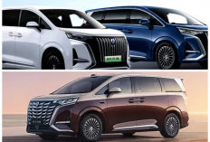 Denza D9 Second Makin Diburu, Berapa Harga Pasaran Sekarang?