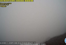 Waspada! Gunung Dempo Bergetar Seharian, PVMBG Keluarkan Larangan Camping di Radius Berbahaya