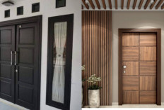 Inspirasi Terbaru Pintu Rumah Minimalis 2025 untuk Tampilan Clean & Elegant!