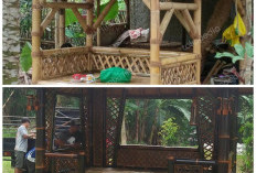 Desain Saung Bambu Kekinian: Tradisional Elegan, Nyaman untuk Santai