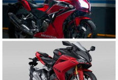 Bukan Cuma Menang Kencang! Honda CBR250RR Bawa Sensasi Performa Juara Langsung dari Sirkuit