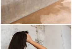 Dinding Bocor? Ini 5 Solusi Praktis Mengatasinya Tanpa Renovasi Besar