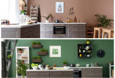 Siap-Siap Betah di Dapur! 6 Warna Cat Ini Bakal Jadi Mood Booster Terbaik Saat Langit Mendung