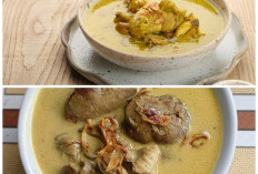 Gurih dan Nikmat! Begini Cara Membuat Opor Sayur Ati Ampela yang Bikin Ketagihan