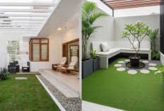 Inspirasi Taman Belakang Rumah Minimalis Modern yang Mudah Dirawat!