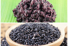 Manfaat Tersembunyi Ketan Hitam: Rahasia Sehat yang Jarang Disadari