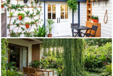 Auto Adem! Ini Rekomendasi 6 Tanaman Hias Teras yang Bikin Rumah Jadi Estetik dan Sejuk Seketika