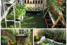 Desain Kebun Sayur Kekinian: Perpaduan Fungsi, Keindahan, dan Kenyamanan!
