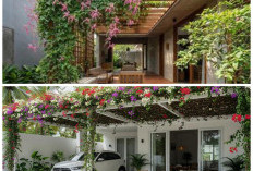 Teras Rumah Makin Sejuk! Tanaman Rambat Berbunga untuk Pergola Mini Bergaya Kafe